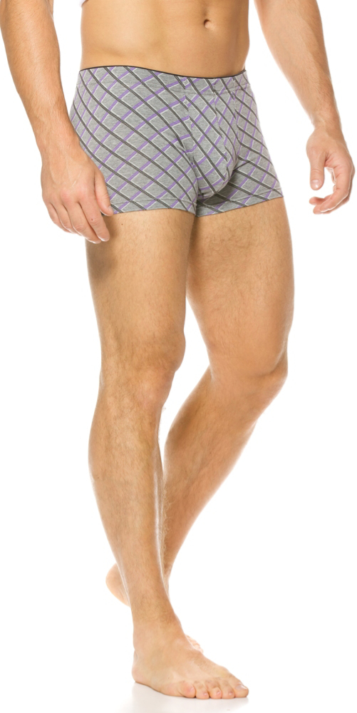 Boxer